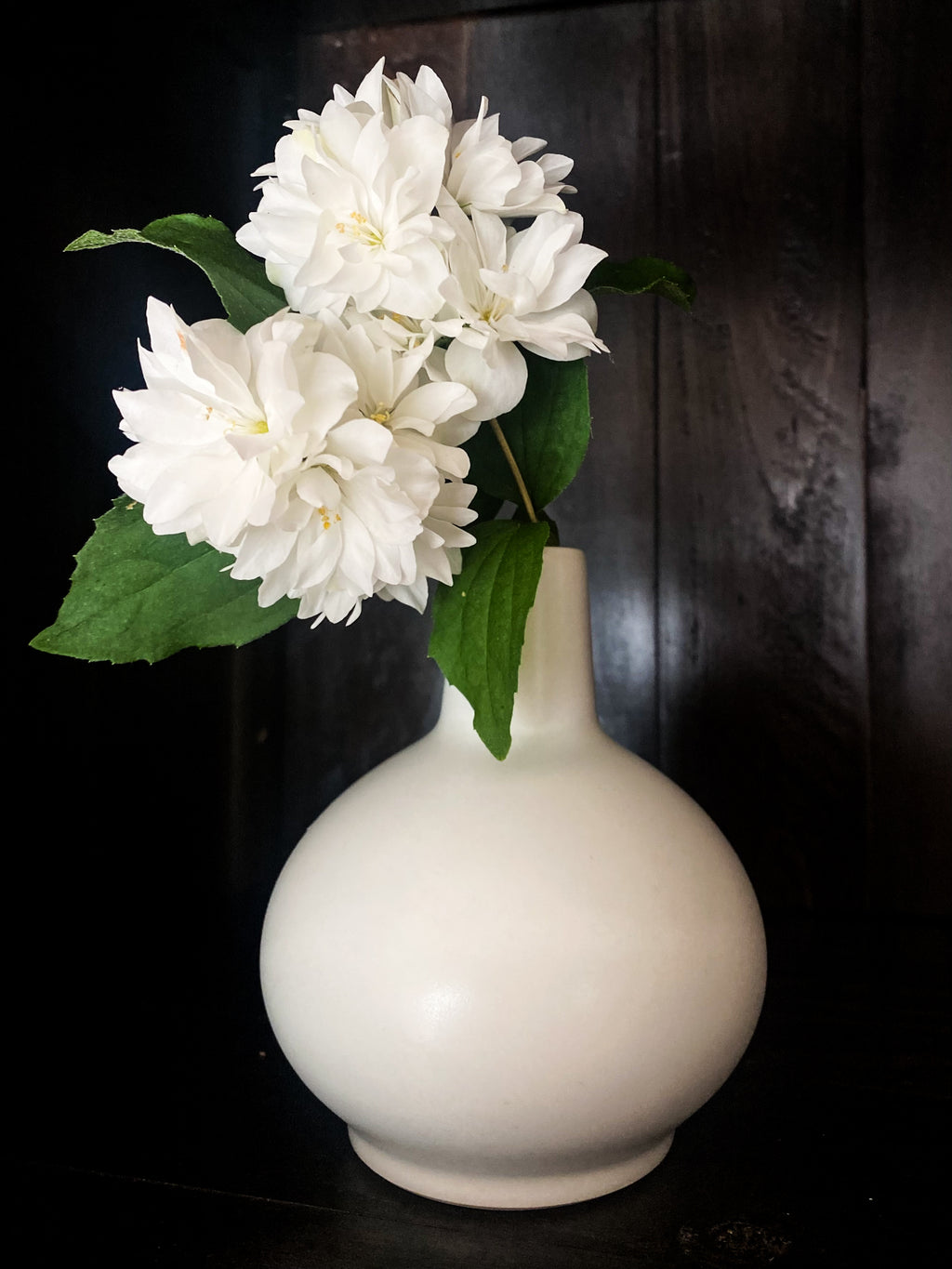 Japanese Porcelain Hakuji Vase