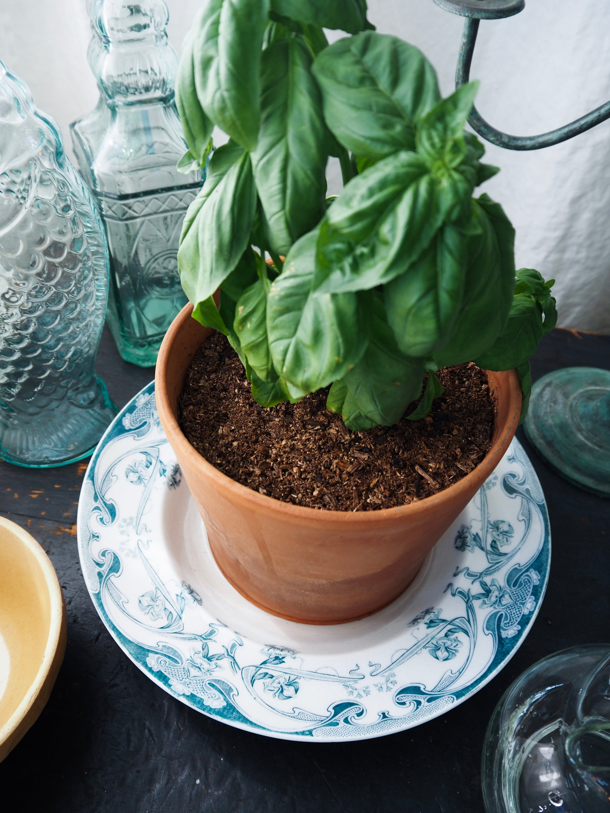 Staffordshire Burslem England Iris Soup Bowl