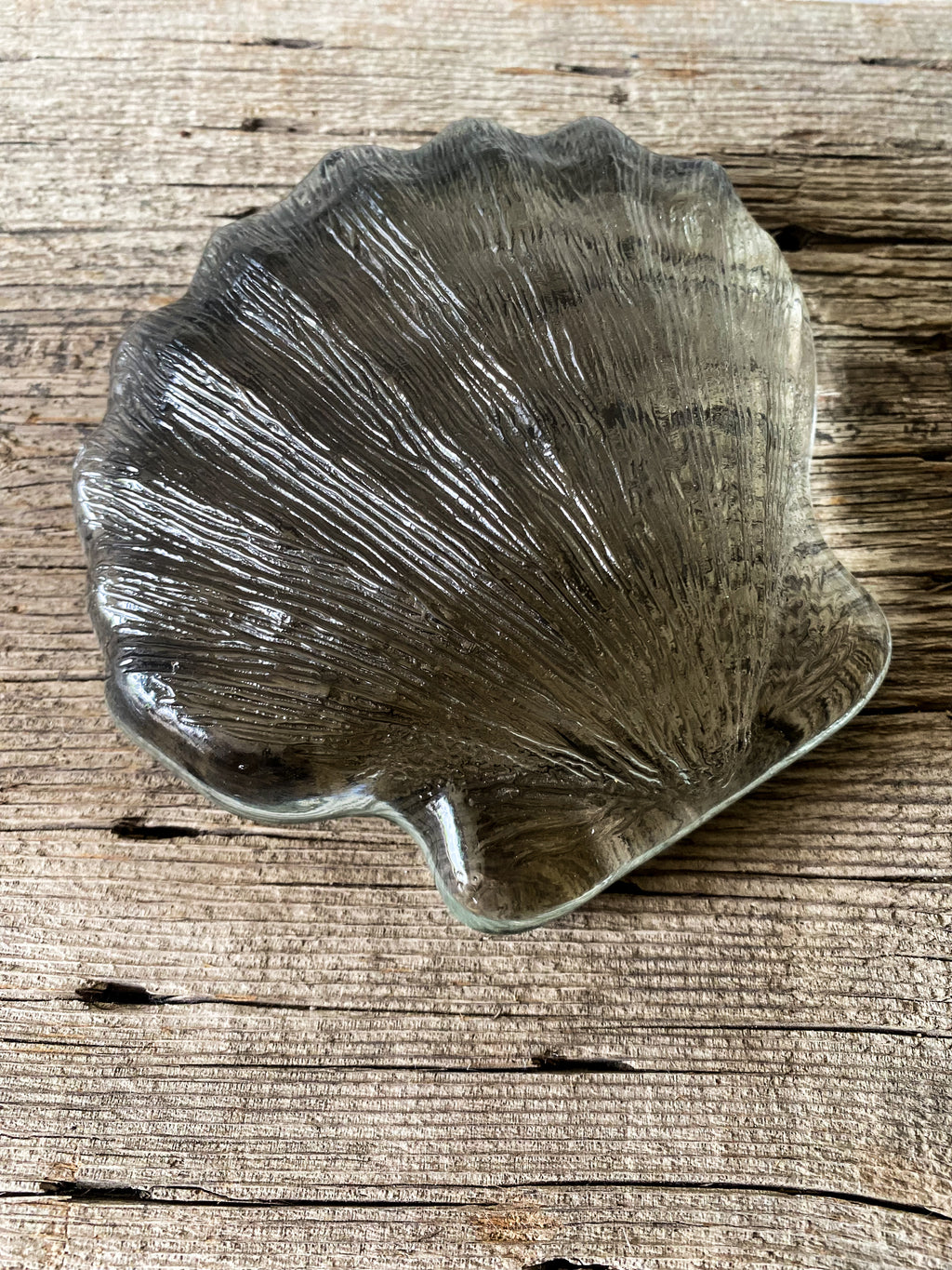 MCM Glass Seashell Object