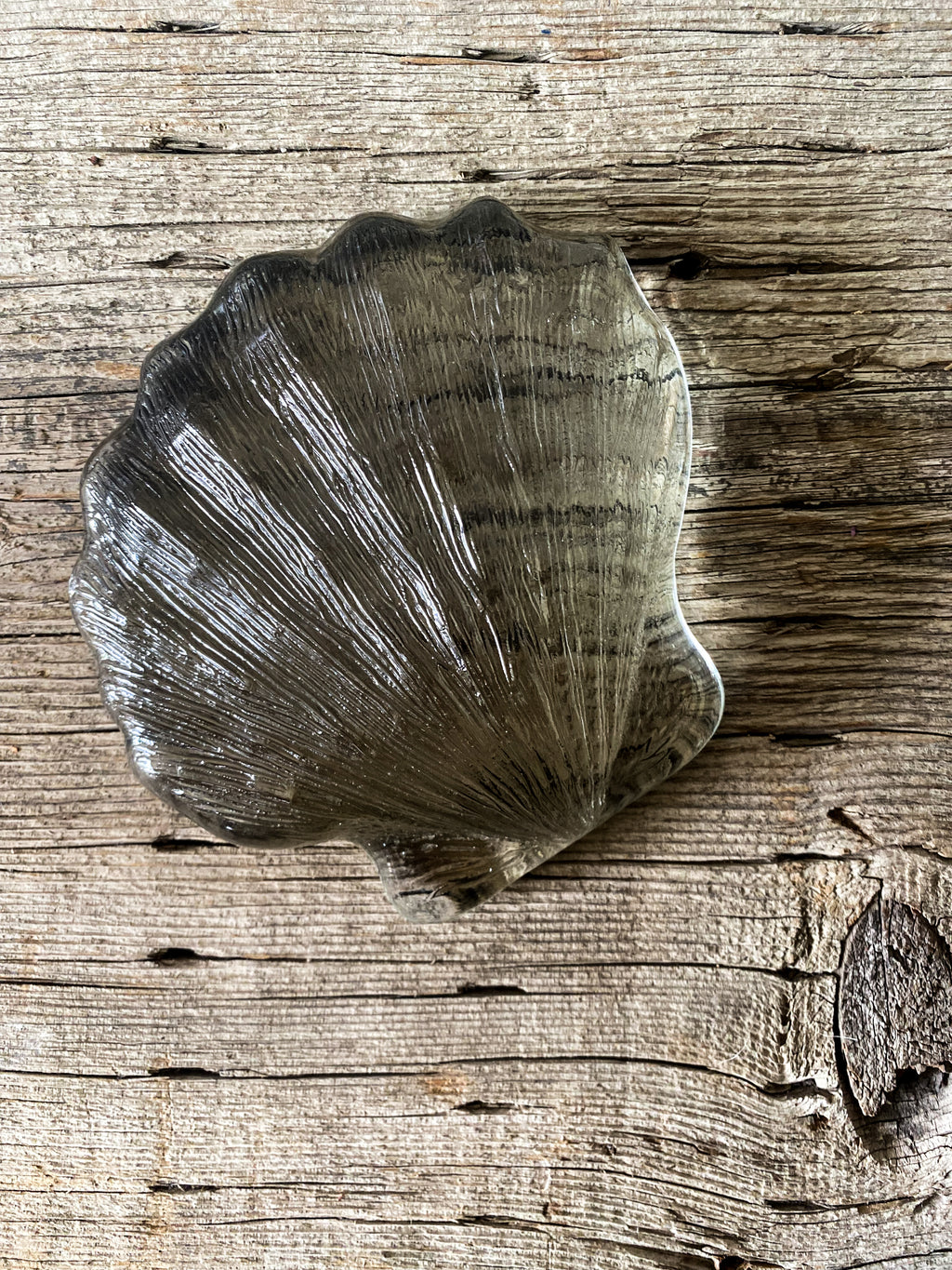 MCM Glass Seashell Object